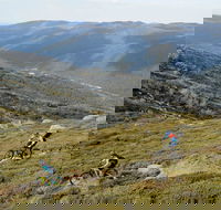 Thredbo Mountain Biking - Accommodation Gladstone