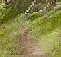 Three Views walking track - Accommodation Gladstone