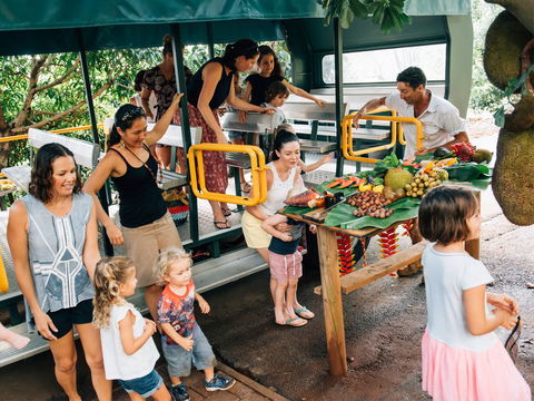 Tropical Fruit World - Accommodation Gladstone 2