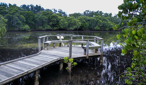 Walk On Water Walking Track - Accommodation Gladstone 0