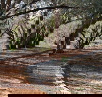 Warrego Floodplain walking track - Accommodation Gladstone