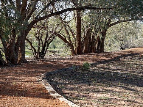 Warrego Floodplain Walking Track - Accommodation Gladstone 0
