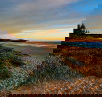 Werri Beach and Point - Accommodation Gladstone