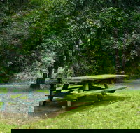 Williams River picnic area - Accommodation Gladstone