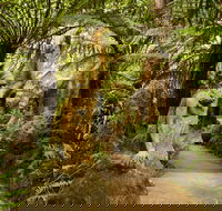 William Ricketts Sanctuary - Accommodation Gladstone