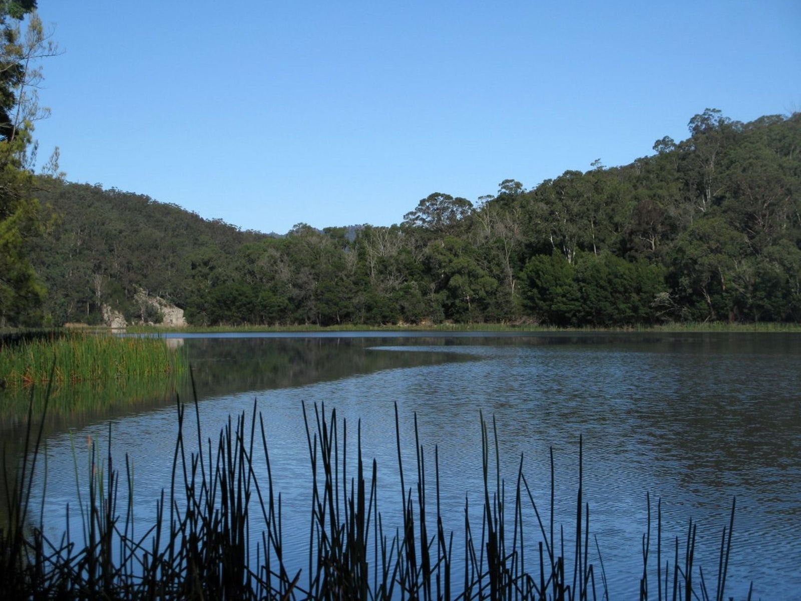  Accommodation Gladstone