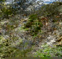 Yarrambat Park - Accommodation Gladstone