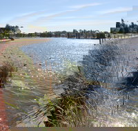 Yerrabi Pond - Accommodation Gladstone