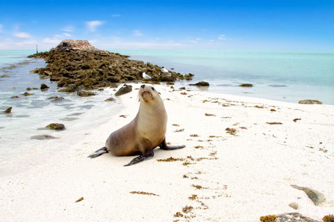 Abrolhos Islands - Accommodation Gladstone 0