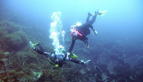 Abrolhos Islands - Accommodation Gladstone 2