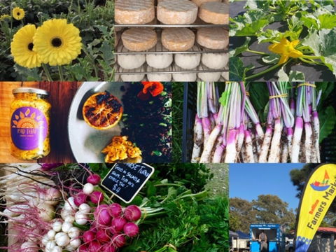 Ballina Farmers Market - Accommodation Gladstone 1