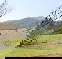 Banimboola Creek Rest Area - Accommodation Gladstone