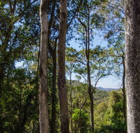 Basin Loop Track - Accommodation Gladstone