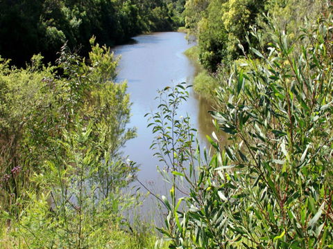 Blue Gum Hills Regional Park - Accommodation Gladstone 1