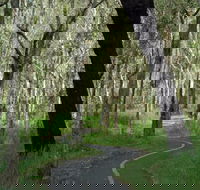 Boondall - Accommodation Gladstone