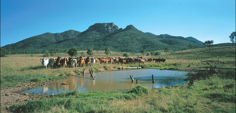 Bundaberg- Biggenden- Mount Perry Circle - Accommodation Gladstone 0