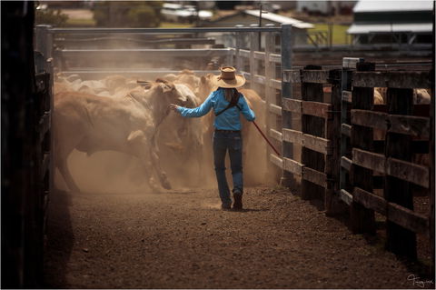Bundaberg- Biggenden- Mount Perry Circle - Accommodation Gladstone 1