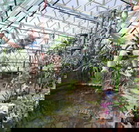 Cairns ZOOM and Wildlife Dome - Accommodation Gladstone
