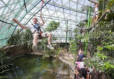 Cairns ZOOM And Wildlife Dome - Accommodation Gladstone 0
