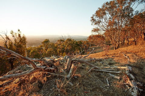Chick Hill Walk - Accommodation Gladstone 0
