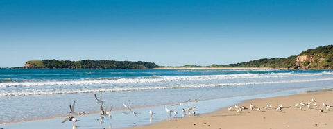 Chinamans Beach Evans Head - Accommodation Gladstone 2