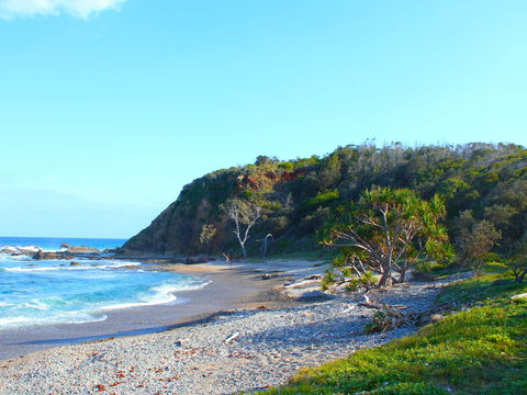 Clay Head - Accommodation Gladstone 0