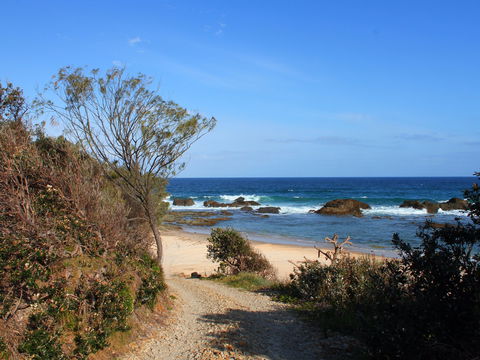 Clay Head - Accommodation Gladstone 1