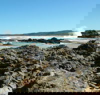 Coastal Walks - Bermagui - Accommodation Gladstone