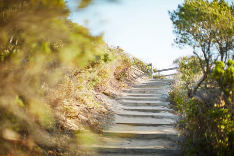 Coppins Walk Track (part Of The Coastal Walk) - Accommodation Gladstone 0