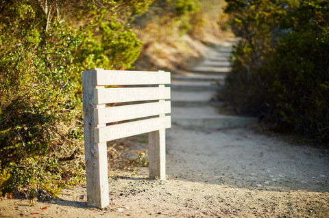 Coppins Walk Track (part Of The Coastal Walk) - Accommodation Gladstone 1