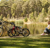 Creswick Regional Park - Accommodation Gladstone