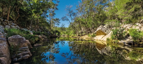 Crows Nest National Park - Accommodation Gladstone 0
