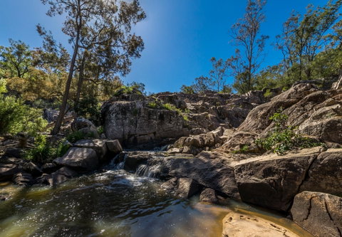 Crows Nest National Park - Accommodation Gladstone 1