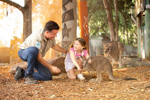 Dreamworld - Accommodation Gladstone 2