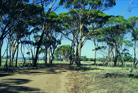 Dumbleyung - Accommodation Gladstone 0