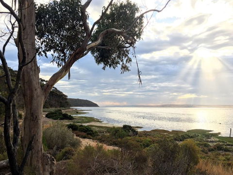Fish Cannery Walking Trail - Accommodation Gladstone 0