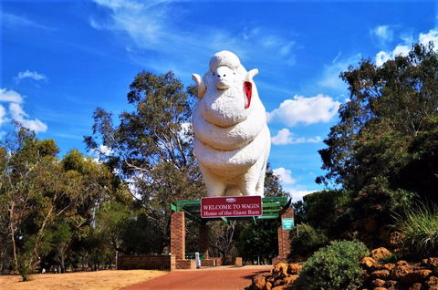 Giant Ram Park - Accommodation Gladstone 0