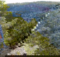 Glenbrook Gorge Track - Accommodation Gladstone