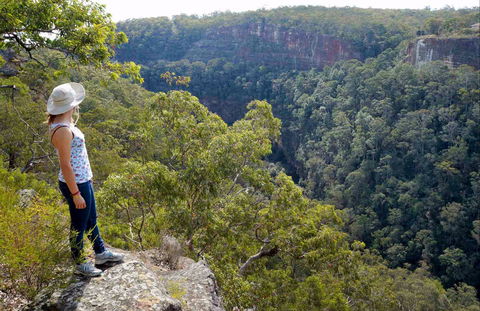 Glenbrook Gorge Track - Accommodation Gladstone 0
