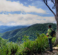 Gloucester Falls Walking Track - Accommodation Gladstone