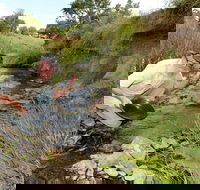 Gold Panning Deep Creek - Accommodation Gladstone