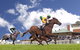 Goulburn And District Racing Club - thumb 0