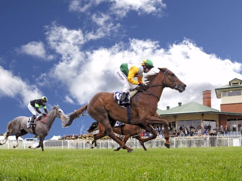 Goulburn And District Racing Club - Accommodation Gladstone 0