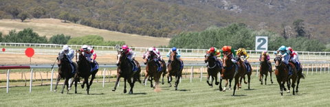 Goulburn And District Racing Club - Accommodation Gladstone 1