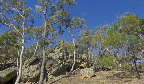 Green Track - Accommodation Gladstone 0