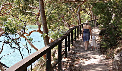 Harbour Bridge To The Spit Bridge Walking Track - Accommodation Gladstone 0