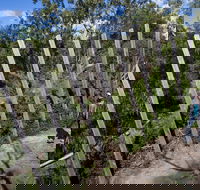 Herring Island Environmental Sculpture Park - Accommodation Gladstone