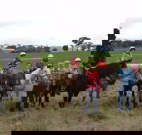 High Country Trail Rides - Accommodation Gladstone