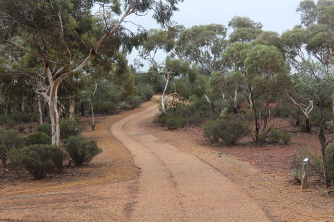 Karlkurla Bushland Park - Accommodation Gladstone 0