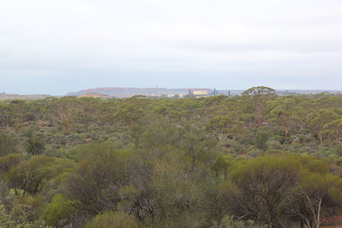 Karlkurla Bushland Park - Accommodation Gladstone 1